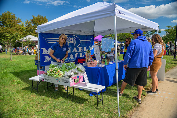 Boyd Park Festival 2018-74
