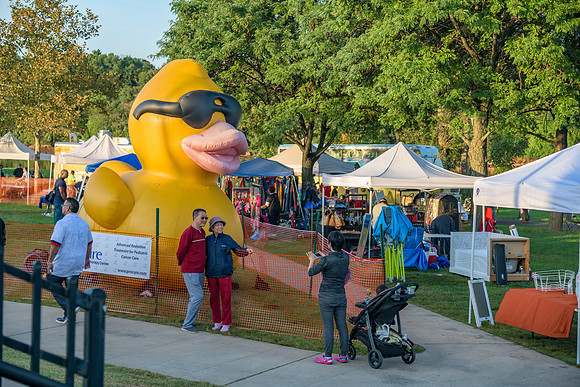 Boyd Park Festival 2018-339