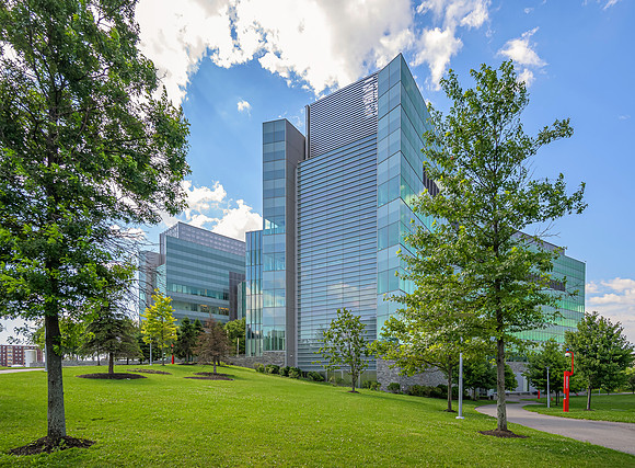 CCNY-2