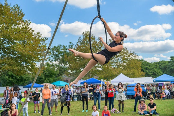 Boyd Park Festival 2018-58