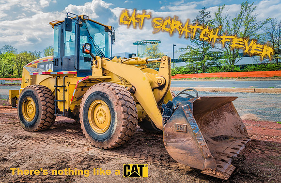 Cat Scratch Fever
