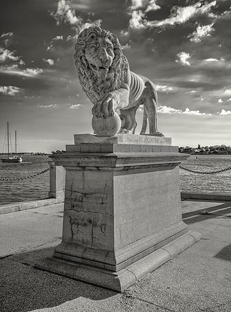 St Augustine Lion B&W