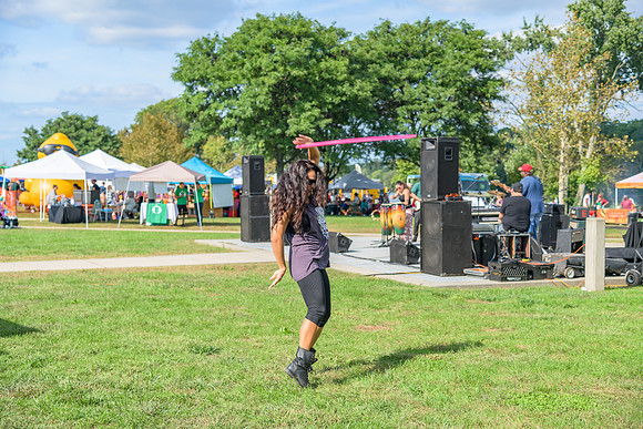 Boyd Park Festival 2018-120
