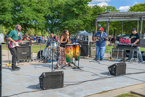Boyd Park Festival 2018-84