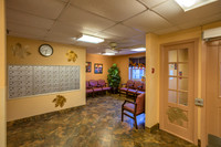 Metuchen Senior Citizens-6