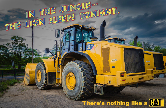 The Lion Sleeps Tonight