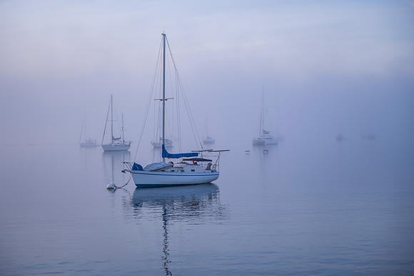 Blue Harbor