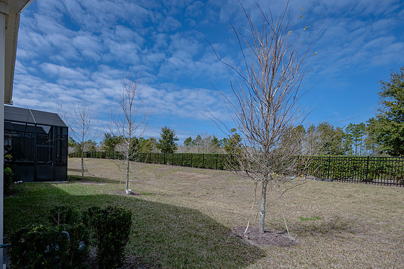 53 Carousel Rd Nocatee-34
