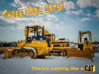 Three Cool Cats