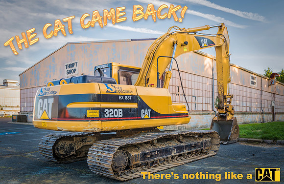 The Cat Came Back