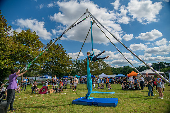Boyd Park Festival 2018-51