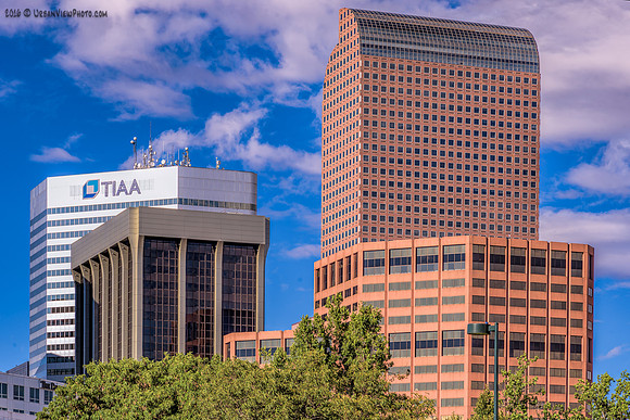 Denver Skyline #1