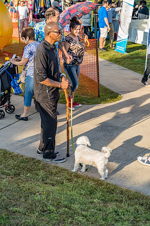 Boyd Park Festival 2018-290