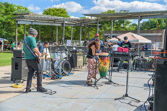 Boyd Park Festival 2018-82