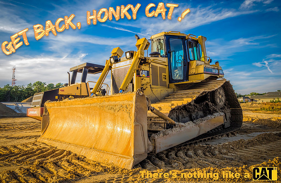 Get Back Honky Cat