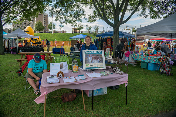 Boyd Park Festival 2018-81