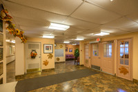 Metuchen Senior Citizens-4