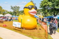 Boyd Park Festival 2018-5