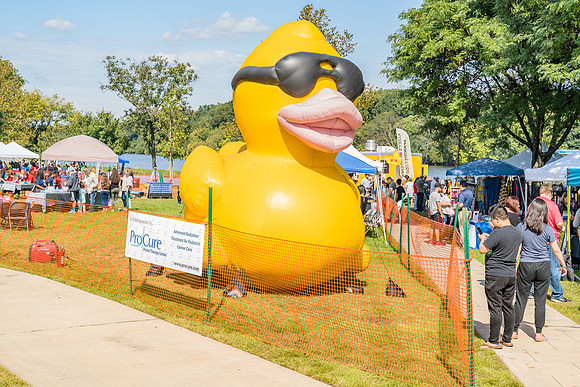 Boyd Park Festival 2018-5