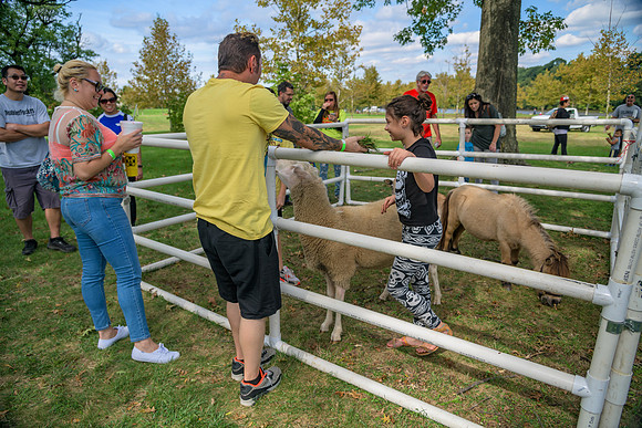 Boyd Park Festival 2018-68