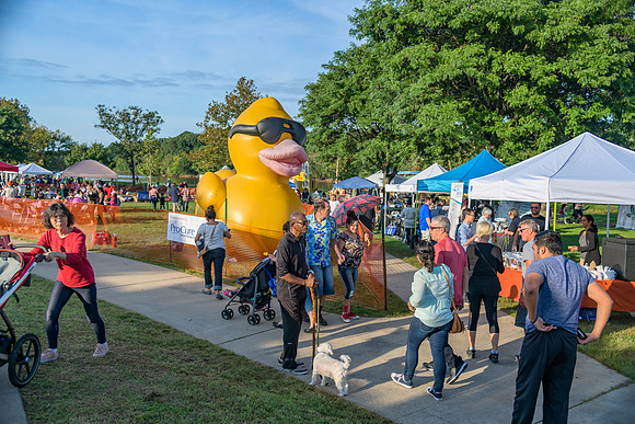 Boyd Park Festival 2018-301