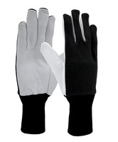LeatherPalm_2