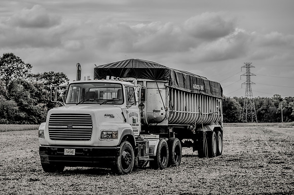 Out Standing In The Field