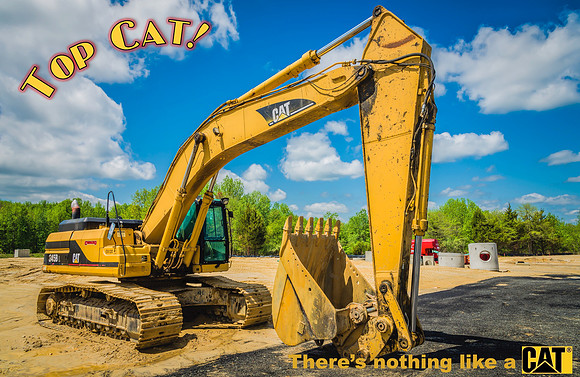 Top Cat!