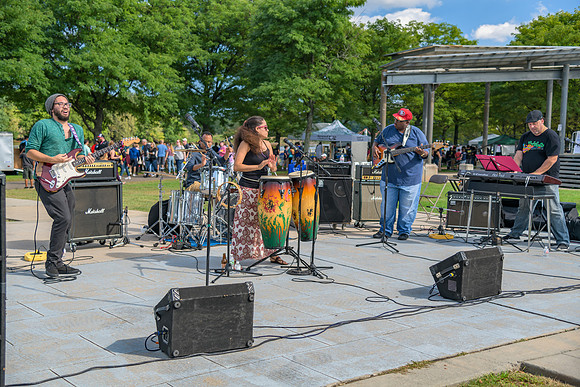 Boyd Park Festival 2018-85