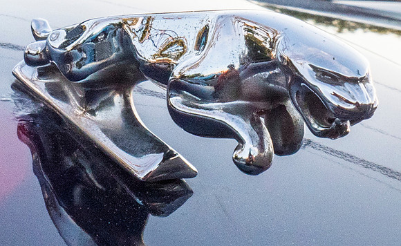 Car Shows-16