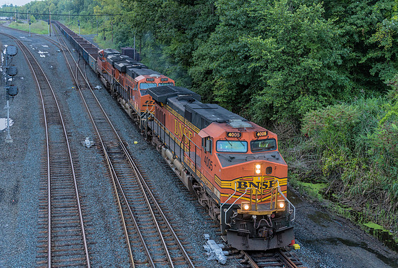 BNSF @ Albany