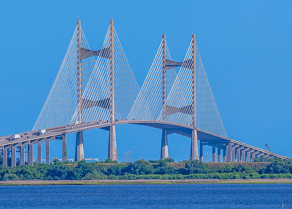 Florida Images-29