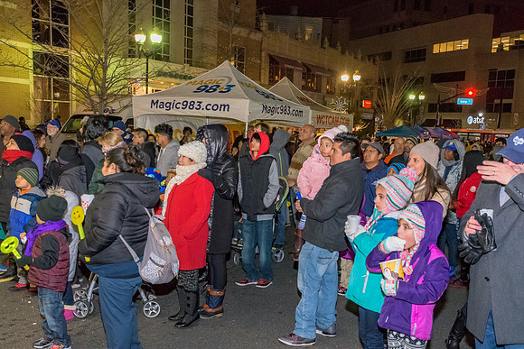 Tree Lighting Crowd #2