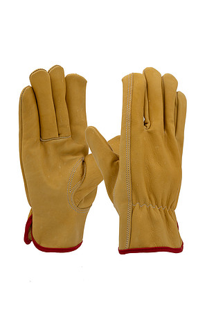 Gloves8_Final
