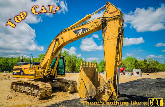 Top Cat!