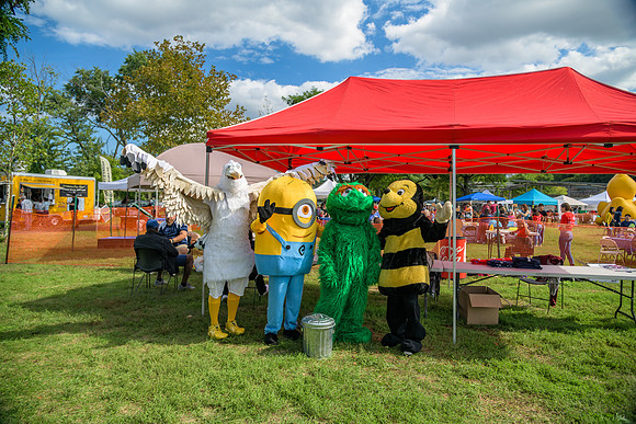 Boyd Park Festival 2018-78