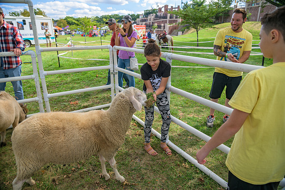 Boyd Park Festival 2018-70