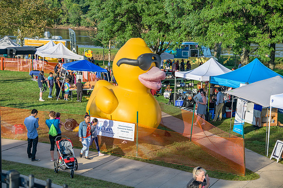 Boyd Park Festival 2018-296