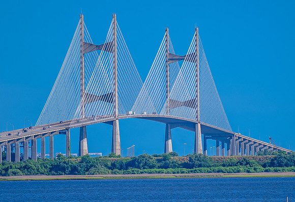 Florida Images-28
