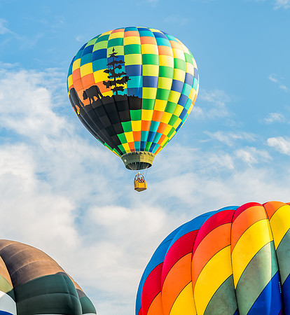 BalloonFest2018-4