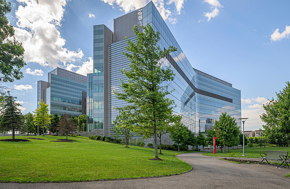 CCNY-5