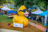 Boyd Park Festival 2018-6