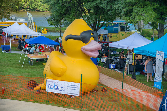 Boyd Park Festival 2018-6