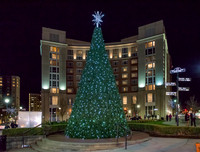 Tree Lighting 2016