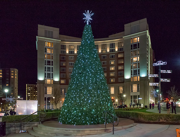 Tree Lighting-5