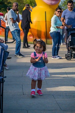 Boyd Park Festival 2018-268