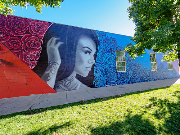 Denver Rhino Murals-27