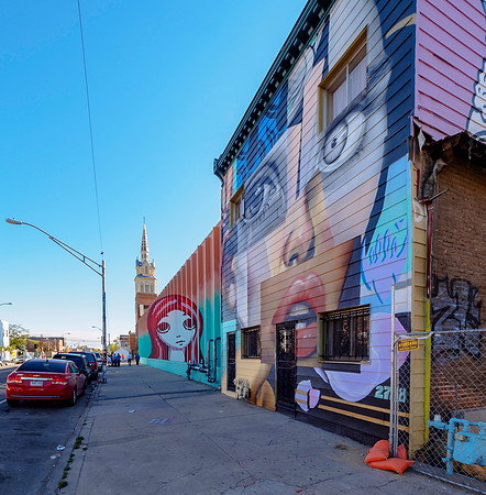 Denver Rhino Murals-15