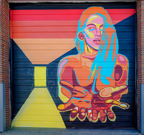 Denver Rhino Murals-26