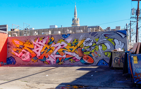 Denver Rhino Murals-23
